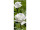 Textilbanner 2 weisse Rosen 75x180cm, grün/weiss Schlauchnaht oben+unten