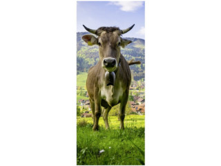 Textilbanner Kuh auf Weide 75x180cm, braun/bunt Schlauchnaht oben+unten
