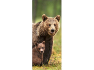 Textilbanner Bär mit Baby 75x180cm, braun/grün Schlauchnaht oben+unten