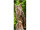 Textilbanner Eule 75x180cm, braun/grün Schlauchnaht oben+unten