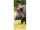 Textilbanner Wildschwein 75x180cm, braun/grün Schlauchnaht oben+unten