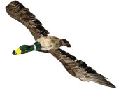 canard volant grand brun, 80 x 50cm, plastique/plumes