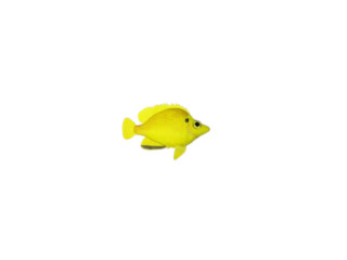 poisson "tropic" jaune, petit l 16 x h 10cm