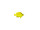 Fisch "Tropic", gelb, klein L 16 x H 10cm