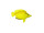 Fisch "Tropic", gelb. gross L 23 x H 20cm