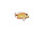 fish "tropic", salmon-red, small l 16 x h 10cm
