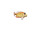 poisson "tropic" saumon-rouge, petit l 16 x h 10cm