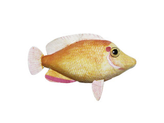 Fisch "Tropic", lachs-rot, gross L 23 x H 20cm