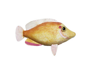 poisson "tropic", saumon-rouge, grand l 23 x h 20cm