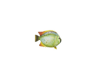 Fisch "Tropic", grün/orange, klein L 16 x H 10cm