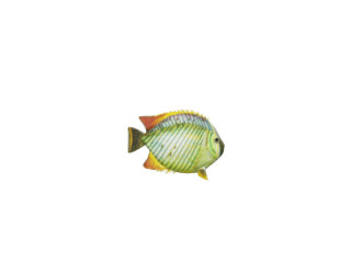 poisson "tropic", vert/orange, petit l 16 x h 10cm