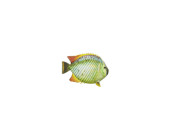 Fisch Tropic grün/orange klein L 16 x H 10cm