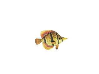 poisson "tropic", orange/jaune, petit l 16 x h 10cm