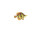 fish "tropic", orange/yellow, small l 16 x h 10cm