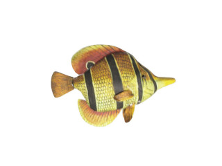 poisson "tropic", orange/jaune, grand l 23 x h 20cm