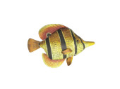 poisson "tropic", orange/jaune, grand l 23 x h...
