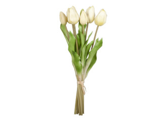 tulip bouquet "Royal" 7 pcs., h 38cm, Ø 20cm, 7 flowers (4 open, 3 closed), white