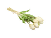 Tulpenstrauss "Royal" 7-tlg., H 38cm, Ø 20cm, 7 Blüten (4 offen, 3 zu), weiss