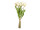 tulip bouquet "Royal" 7 pcs., h 38cm, Ø 20cm, 7 flowers (4 open, 3 closed), white