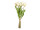 Tulpenstrauss "Royal" 7-tlg., H 38cm, Ø 20cm, 7 Blüten (4 offen, 3 zu), weiss
