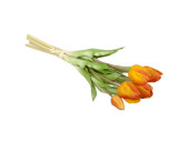 bouquet de tulipes "Royal" 7 pcs., h 38cm, Ø 20cm, 7 fleurs (4 ouvertes, 3 fermées), orange