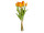 bouquet de tulipes "Royal" 7 pcs., h 38cm, Ø 20cm, 7 fleurs (4 ouvertes, 3 fermées), orange