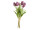 tulip bouquet "Royal" 7 pcs., h 38cm, Ø 20cm, 7 flowers (4 open, 3 closed), purple