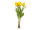 tulip bouquet "Royal" 7 pcs., h 38cm, Ø 20cm, 7 flowers (4 open, 3 closed), yellow