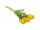 tulip bouquet "Royal" 7 pcs., h 38cm, Ø 20cm, 7 flowers (4 open, 3 closed), yellow