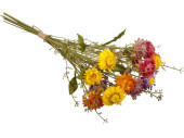 straw flower bouquet 15 pcs. h 45cm, Ø 25cm, autumn colours