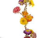guirlande de fleurs en paille, l 180cm, couleurs dautomne