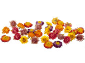 fleurs en paille, 36 pcs., Ø 5cm, couleurs dautomne