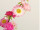 straw flower garland, l 180cm, pink