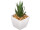 succulente "Aloe Vera" en pot, vert/blanc, Ø 7,5 x h 14cm