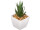 Sukkulente "Aloe Vera" im Topf, grün/weiss, Ø 7,5 x H 14cm