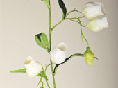 Glockenblumen-Girlande, L 180cm, Blüten 5cm, weiss