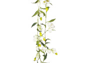 guirlande de campanules, l 180cm, fleurs 5cm, blanc