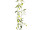 Glockenblumen-Girlande, L 180cm, Blüten 5cm, weiss