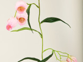 guirlande de campanules, l 180cm, fleurs 5cm, rose