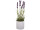 lavender with 9 flowers, in pot, lilac/green/white, Ø 9,5 x h 35cm