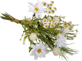 Wildblumen-Margeritenstrauss grün/weiss, H 40cm, Ø 30cm