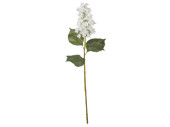 hortensia XL, h 96cm, fleur Ø 15 x l 25cm, vert/blanc