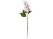 Hortensie XL, H 96cm, Blüte Ø 15 x L 25cm,...