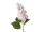 hortensia XL, h 96cm, fleur Ø 15 x l 25cm, vert/rose