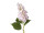 Hortensie XL grün/rosa H 96cm, Blüte Ø 15 x L 25cm