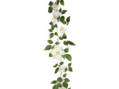 Clematis-Girlande grün/weiss L 135cm, Blüten 9...
