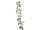 Clematis-Girlande grün/weiss L 135cm, Blüten 9 - 14cm