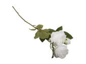 branche de roses "anglaises", l 64cm, Ø 20cm, 2 fleurs Ø 10cm, 1 boutons Ø 4cm, blanc