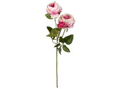 Rosenzweig englisch rosa L 64cm, Ø 20cm, 2...