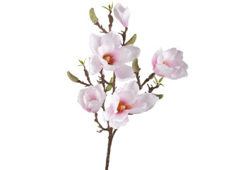 branche de magnolia "Queens", l 81cm, l 25cm, blanc/rose, fleurs 6 - 12cm